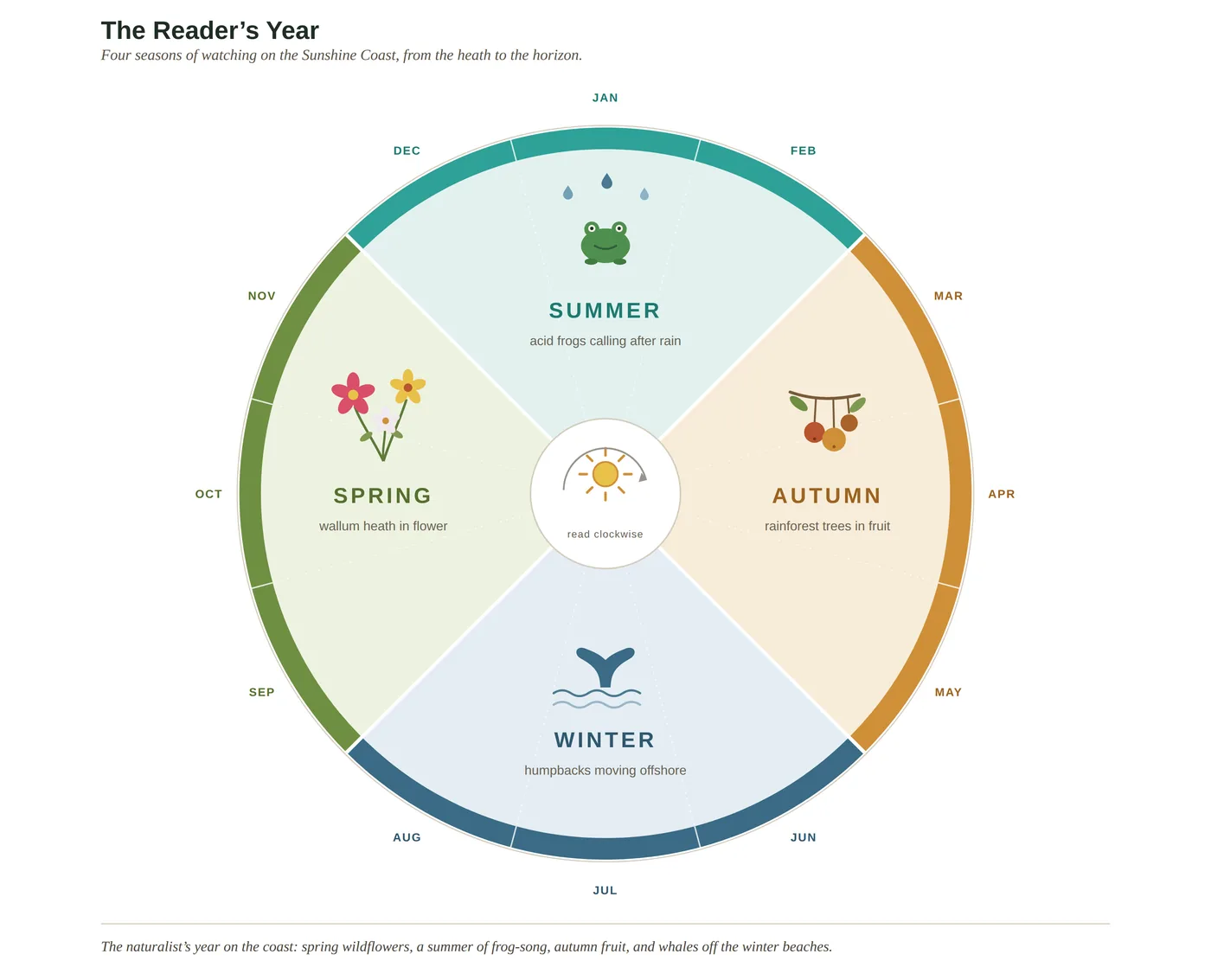 The Reader's Year drawn as a wheel of the four seasons, showing what flowers, arrives and spawns on the coast through the year